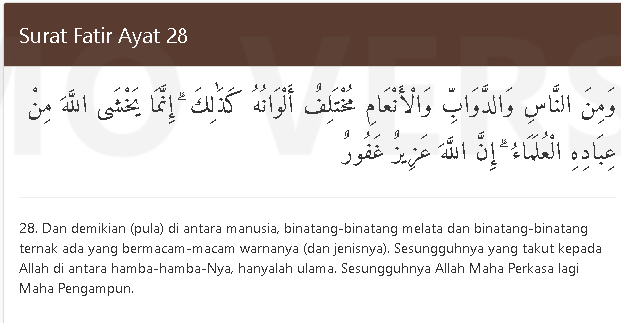 al quran fatir 28