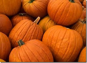 pumpkin
