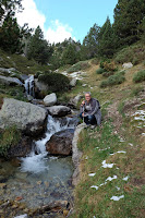 Torrente del río Ter en el valle  de Camprodon, Set Cases