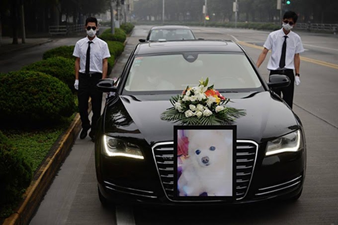 LUXURIOUS FUNERAL HELD FOR DOG IN SHANGHAI! (MUST SEE PHOTOS!!)