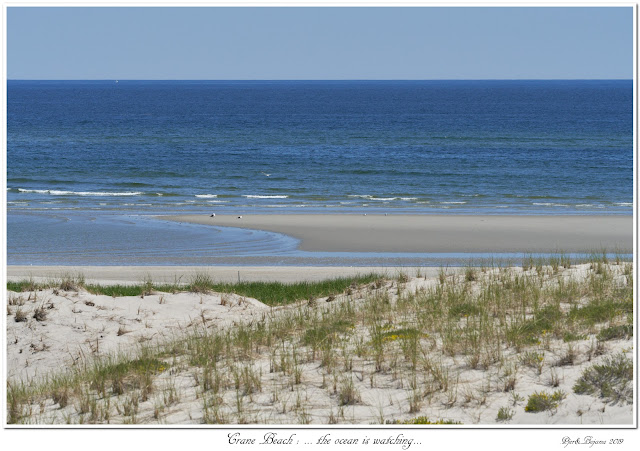 Crane Beach: ... the ocean is watching...