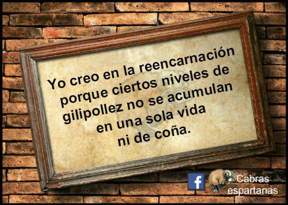 Yo creo en la reencarnación porque ciertos niveles de gilipollez no se acumulan en una sola vida ni de coña