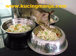 Home Made Cat Food Recipes