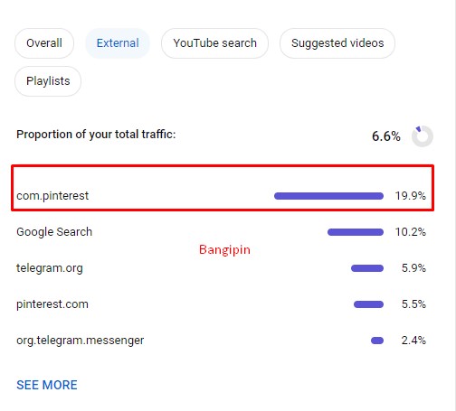 Sumber Traffic Youtube dari Pinterest