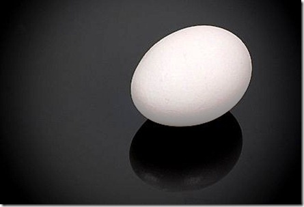 egg-main_Full