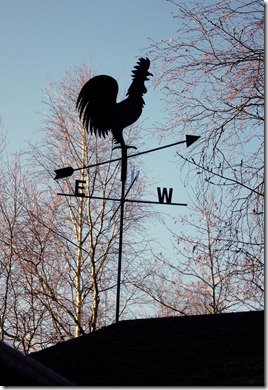 IMGP3497