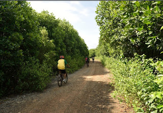 ALAMAT HUTAN MANGROVE MUARA BLACAN