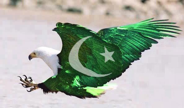 Dps For Facebook Happy independence day Pakistan 2018