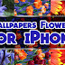 Wallpapers Flowers for iPhone p3
