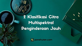 2 Klasifikasi Citra Multispektral Penginderaan Jauh