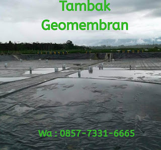 0857-7331-6665 Terima Jasa Pemasangan, Jual Beli Bahan Geomembran Untuk Tambak Udang,Embung, Limbah Dan Danau Buatan Di Medan, Pekanbaru, Dan Bandar Lampung