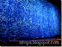 DSCN0939