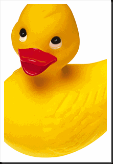 yellow-duck