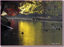 AUTUNNO_24