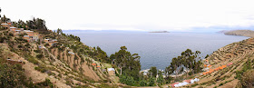 Plantation, Isla del Sol, Lago Titicaca, Bolivia