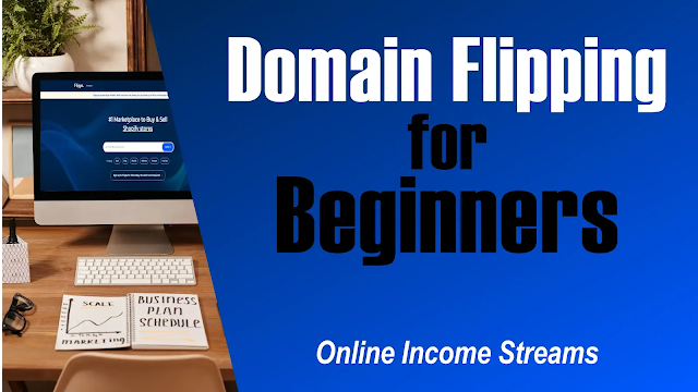 Domain Flipping for Beginners