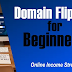 Domain Flipping for Beginners