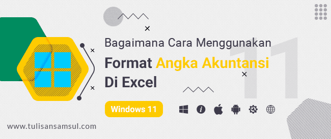 Bagaimana Cara Menggunakan Format Angka Akuntansi di Excel?