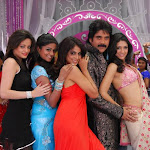 Nagaarjuna With 6 Hot Girls