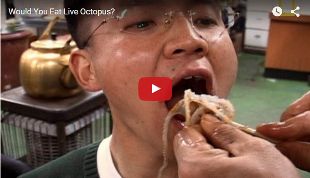 octopus eaten alive