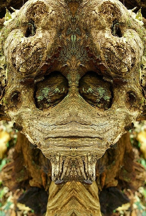 02-Elido-Turco-Mirrored-Faces-in-Tree-Photography-www-designstack-co