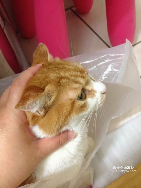 調整大小IMG_1853