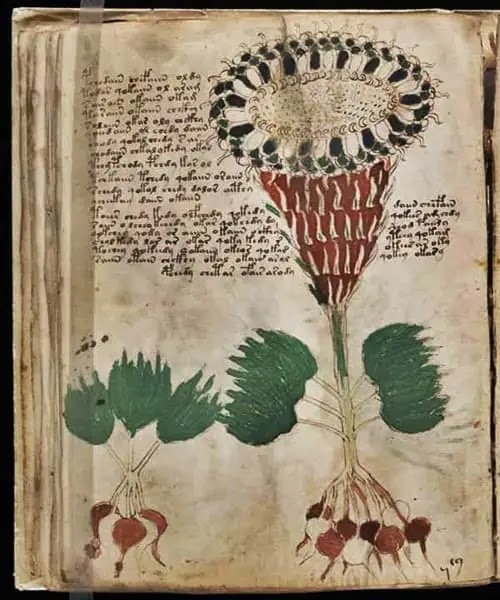 voynich manuscript in hindi - mysterious books in hindi