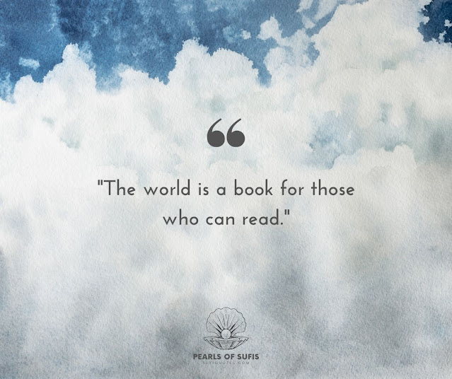 "The world is a book for those who can read."