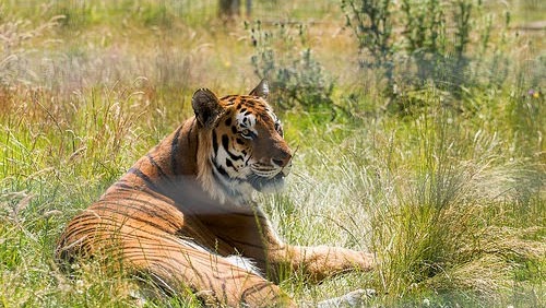 Noah's Ark Zoo Farm - Noahs Ark Zoo