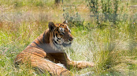 Noah's Ark Zoo Farm - Noahs Ark Zoo