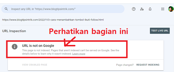 Cara Mengetahui Artikel Website Sudah Terindek oleh Google Apa Belum