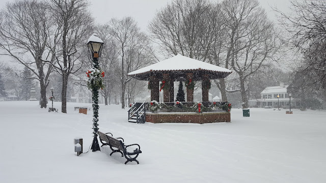 snowy Franklin Town Common