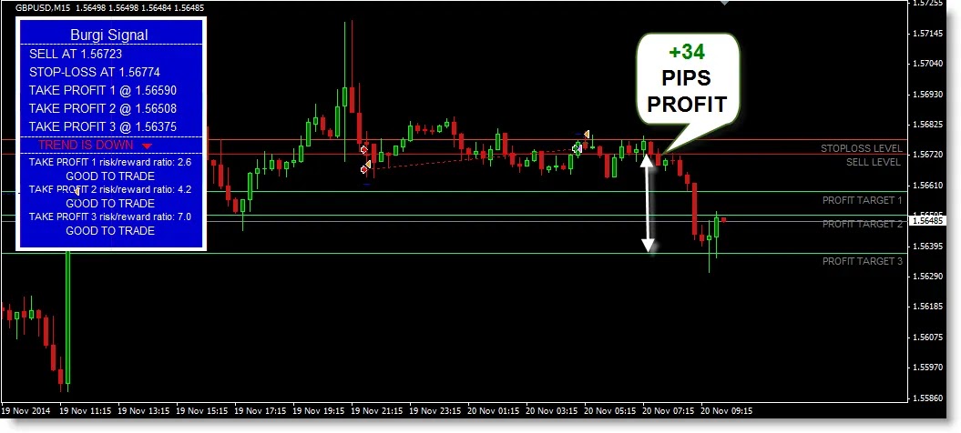 BURGI Signal Forex Trading System Review