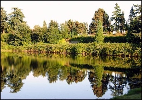 DSC_0315_thumb3_thumb_thumb_thumb_th[2]