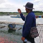 Mahasiswa KKN Undip Buat Probiotik Pakan Ikan Dari Daun Pepaya