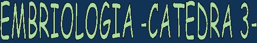 Embriología -Cátedra 3-