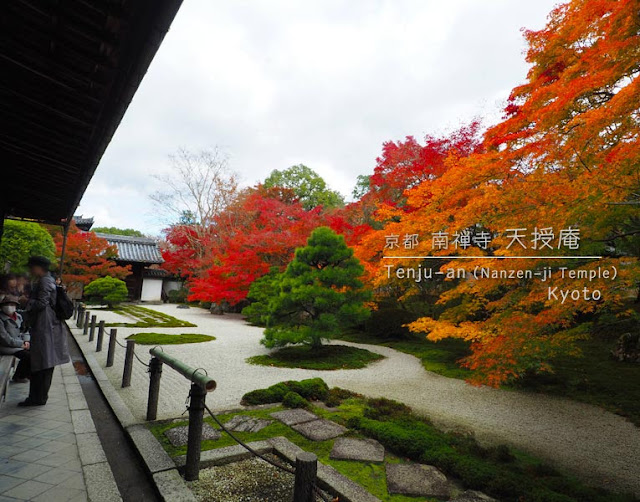 京都 南禅寺･天授庵：方丈前庭の紅葉