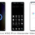 vivo X50 Pro+ Alexander Wang edition theme for funtouch os