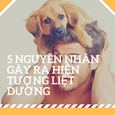 Nguyên nhân hiện tượng liệt dương