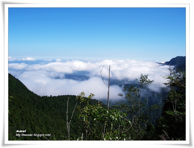 宜蘭太平山國家森林遊樂區-雲海