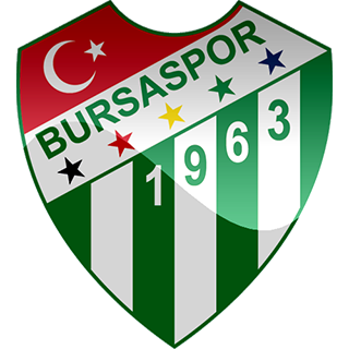 bursaspor hd dls fts logo