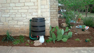 DivasoftheDirt,Mindy new rain barrel