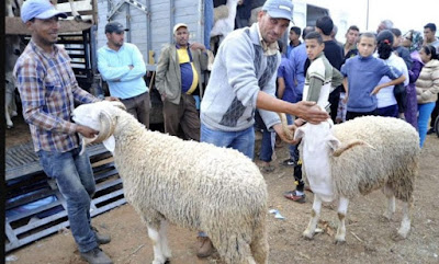 رسميا..وزارة الأوقاف تعلن عن يوم عيد الأضحى في المغرب