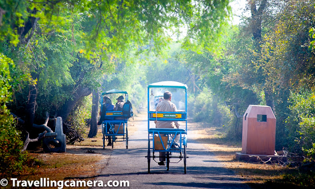 We had always planned of visiting Keoladeo National Park at Bharatpur, Rajasthan, but it never materialized. Until November 2018. Nights were getting colder and the afternoon Sun had started losing its edge. News of migratory birds arriving in India had started floating. The plan to visit the Bird Sanctuary was on spur of the moment, as most good plans are. Once we had decided, we had two days to prepare for our trip, which included booking the hotel, researching, planning the itinerary etc. The first thing we did was book a hotel at walking distance from the gate of the National Park. We found The Sunbird quite interesting. It was about 500 metres from the National Park and was also recommended by other bloggers. Then we packed the essentials, which included the following: 1) Comfortable Summer Clothes - long-sleeved, cotton, comfortable 2) Comfortable walking shoes 3) Sunglasses 4) Sunscreen 5) Binoculars 6) Camera and lenses 7) The last thing we put in the bag was our copy of A Pictorial Field Guide to the Birds of India, and I will tell you why we needed more time to pack the book in a while. The next thing we did was make sure our car was equipped for the longish drive (~180km) across the state border. We checked that the insurance was valid and the pollution check was up to date. We also made sure that that the petrol was topped up and the tires were fine. Ours is an old car (>10 years) but has never given us trouble. We have clocked more than 1.3 lakhs kilometers on it and have also taken it on long drives. But we aren't seasoned highway drivers so extra precautions are needed. The last thing we did before heading out was that we went through the website Avibase, and marked out all the birds we may come across at the national park. At that time, we did this more out of excitement, but later found out that this was a really helpful activity. When we saw new birds at the sanctuary, we found it easier to identify them immediately. Almost all the time we were aware of what we were seeing, and what we should look forward to. Once we had marked the birds, we put the book back into our sack. We started the trip before dawn at around 5am. We took the expressway and then took the exit to the Hathras-Mathura Road. Then we took the Bharatpur-Mathura Road to reach the Keoladeo National Park in about 3 hours 30 minutes. Following is the route we followed. We reached Bharatpur at about 9 am. The hotel wasn't ready for us by then so we decided to have breakfast and head to the park. We only had one light backpack so luggage wasn't a problem. We discovered that breakfast at Hotel Sunbird was very expensive, so we headed to the nearby Hotel Om Sai and had some really nice parathas with Dahi there and then a cup of tea each. The food here was tasty, but the service was slow, so be prepared for that if you choose this option. From Hotel Om Sai, the entrance to the park was only about 300 metres. We reached there at about 10:30am and bought our tickets and then started our walk immediately. Most of our itinerary till now was not really final. For example, till the last moment, we were not sure whether we would be covering Fatehpur Sikri during this trip. We decided that we will go with the flow. And this was the best decision we made.The only thing we knew for sure was that we both had had a stressful time at work and wanted to walk it off. We knew that we would not be taking any ride to go into the park and would walk all the way - to and fro. While it worked for us, we should share that it is 5km one way to the Shiv Temple and it can get really tiring especially if the sun is out. So carry lots of water and energy bars to keep yourself well-nourished. If you do not wish to walk the entire way, you can hire a rickshaw. The rickshaw costs about 100 rs per hour + 100 hours for the binoculars. It you are not much of a walker, this is a good option. The Rickshaw pullers are very knowledgeable about the birds too. And almost always give you the right details. We heard one rickshaw puller share minute details such as why the Ibis we were seeing wasn't a black Ibis, but instead a Glossy Ibis, and how the parrot we were seeing wasn't a parrot, but a parakeet. It was really impressive. So you can just hire a rickshaw and not go in for an additional guide. The first few kilometres inside the park is normal jungle. You see some really pretty songbirds and impressive birds of prey on this stretch. There are some trails in this stretch that lead one off the beaten track. If you decide to take these, make sure you are wearing full length trousers because the bushes can be thorny and there's always a possibility of snakes etc. Also, don't head too deep into the forest, because it is easy to lose your way. We had a little adventure of our own, which I will share in a separate post. At about half-way, you reach the canteen and the checkpost. After this, towards the right is the starting point for the boat ride. We could not experience this, but have heard good things about it. You can try it if you so wish. Also, after this, the wetlands start on both the sides of the track and you start seeing the waterbirds - both migratory and resident. Most of the birds we saw were resident, but if you head there in January or February, you will surely see many more migratory birds. To know more about the birds and other fauna we saw here, please go through the following posts: Birds of Prey Herons and Egrets Storks and Cranes Songbirds Smaller Waterbirds Non-Passerine Birds Non-Avian Creatures Birds we need help in identifying We managed to cover the entire length of the walk and back before the closing time of the park (5pm). One mistake that we had made was that we didn't pack any lunch with us and as a result were dead tired and hungry by the time we got back. We went straight to the hotel, checked in, and then crashed. we slept for a couple of hours and then took a bath and headed out for dinner. Our tiredness was gone and with it our work stress too. For dinner we opted for Chacha Chicken Chacha Franky. The food was just okay and we wished we had gone over to Hotel Om Sai again. It was only late in the night that we decided that we had had enough of the national park and the thought of going back again at sunrise did not seem as enticing anymore. So we decided to pack up and head to Fatehpur Sikri in the morning. That turned out to be a really "interesting" experience, and we will talk about it in another post. The entire trip lasted about 36 hours, but it refreshed us and has motivated us to try more such adventures. We highly recommend a trip to the Keoladeo National Park, and not only for the vast variety of birds you will see here, but also for the experience. This is a well-managed national park and will help you reconnect with nature and rejuvenate. If you need any other information, you can write to us at VJ@travellingcamera.com or leave a comment on this post and we will be happy to answer. 