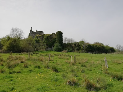 Lea Castle, Portarlington