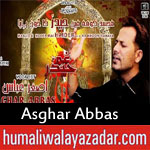 https://www.humaliwalayazadar.com/2018/06/asghar-abbas-ramzan-noha-2018.html