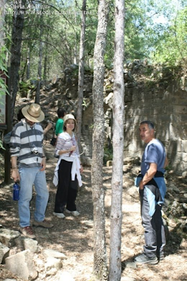 http://www.biodiversidadvirtual.org/insectarium/Participantes-Testing-Punto-BV-Espacio-Pirineos-Graus-9-5-2015-img691436.html