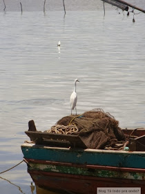 Ilha das Caieiras