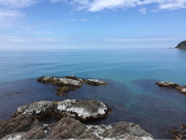 ランガンで1 5キロオーバーのアオリイカをゲット 島根県浜田市国府海水浴場西側の防波堤で魚釣り イクメンライフハッカー