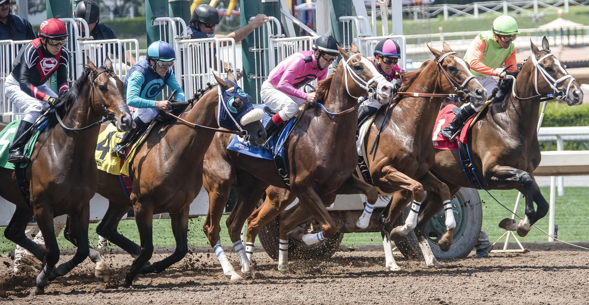 singapore horse racing